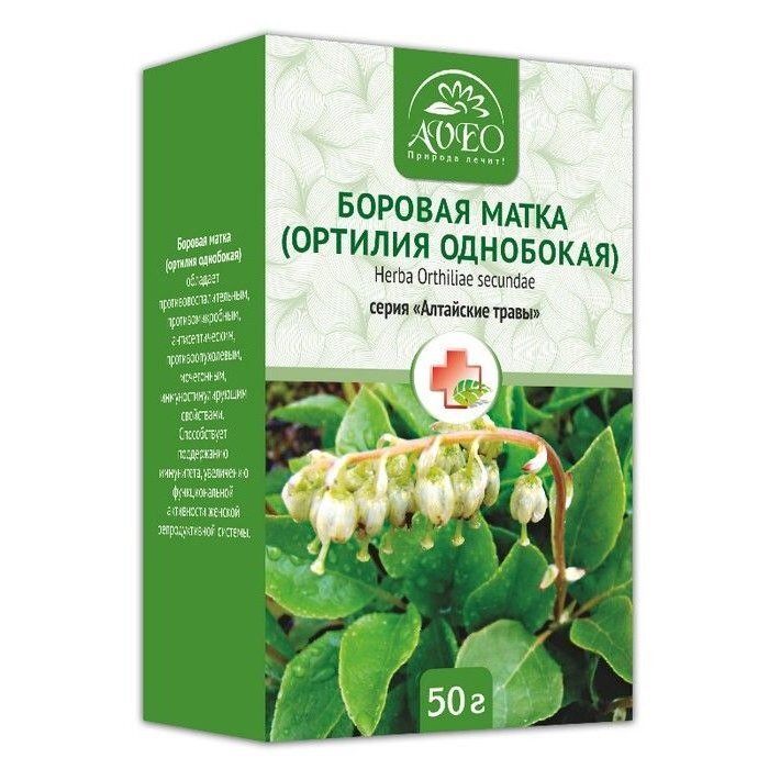 Боровая матка 50 г