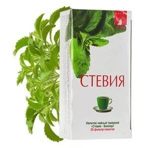 Стевия Биокор напиток чайный фильтр-пакеты 2 г 20 шт.