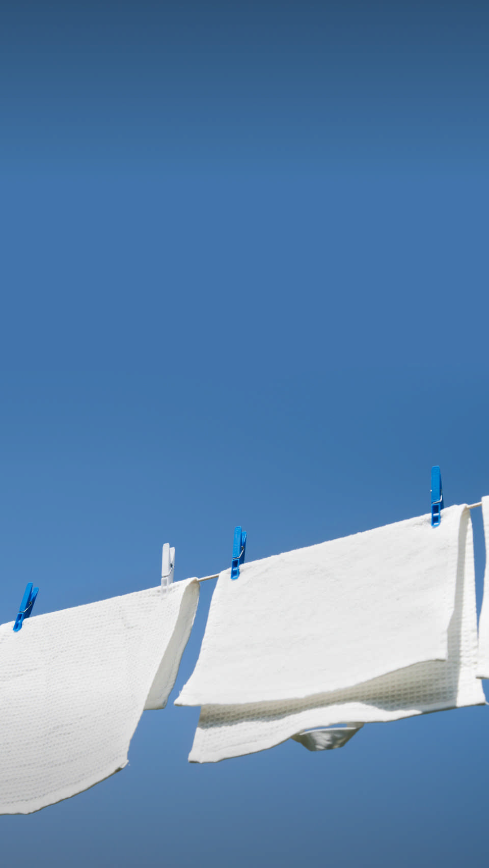 Совет провизора #1009