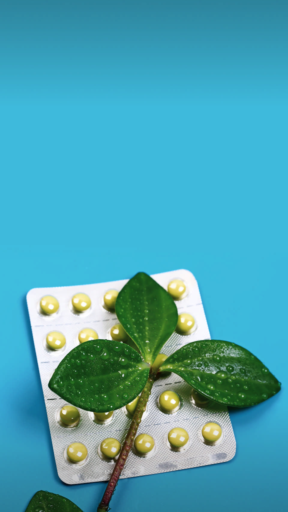 Совет провизора #948