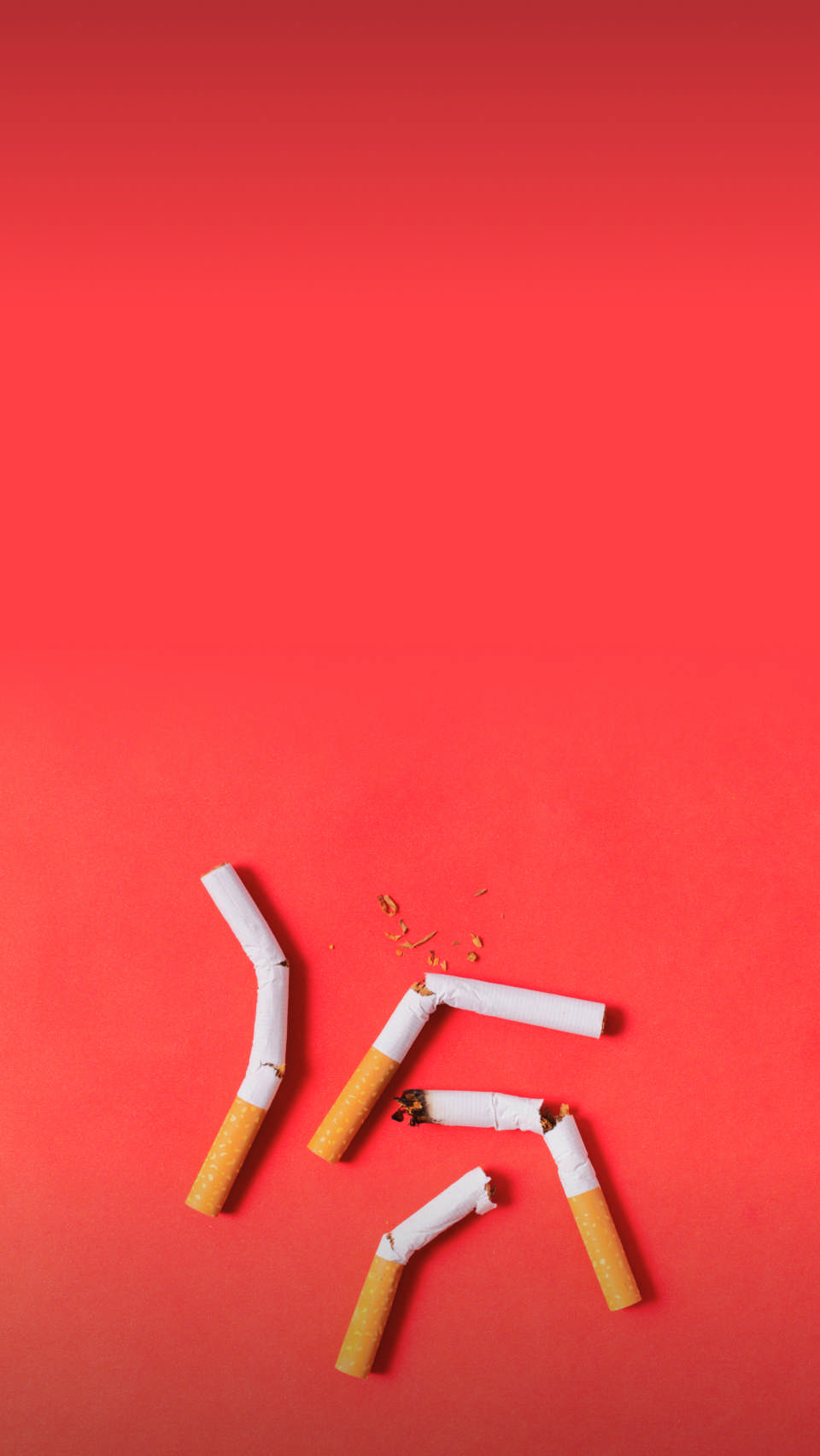 Совет провизора #959