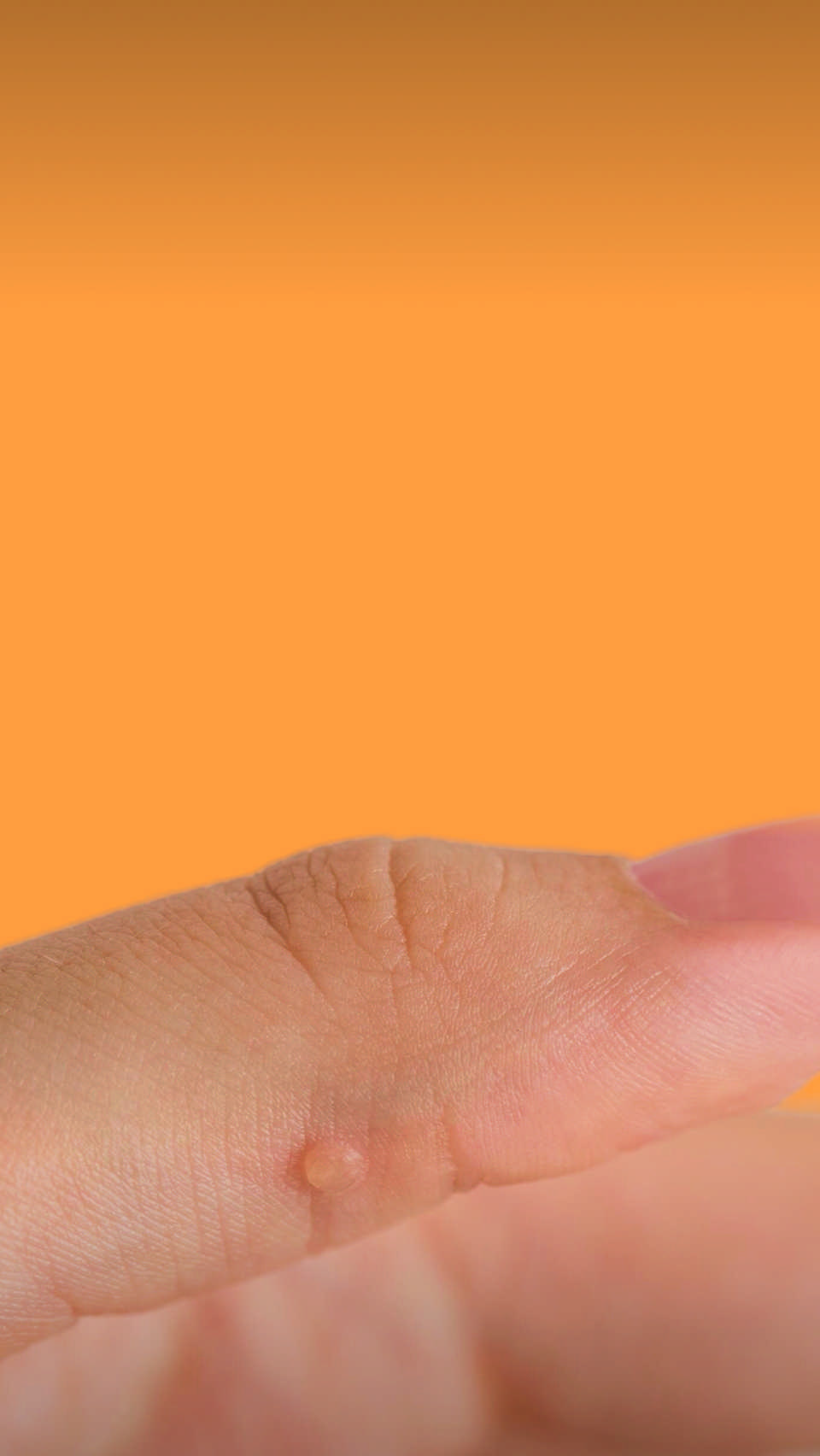 Совет провизора #965