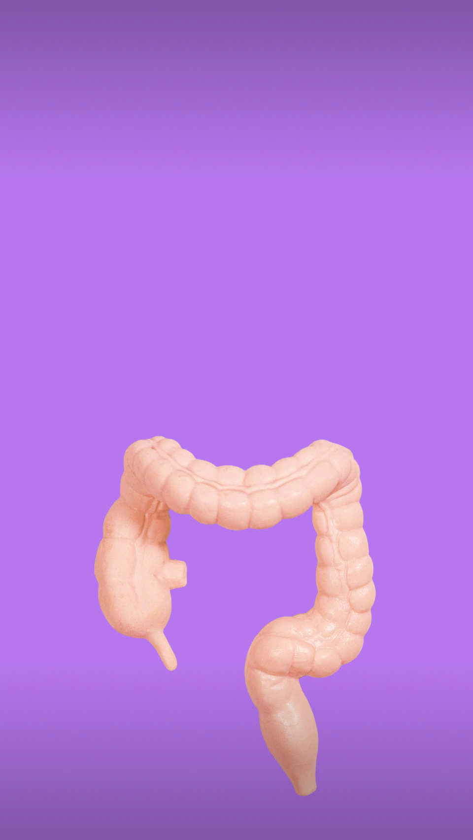 Совет провизора #982