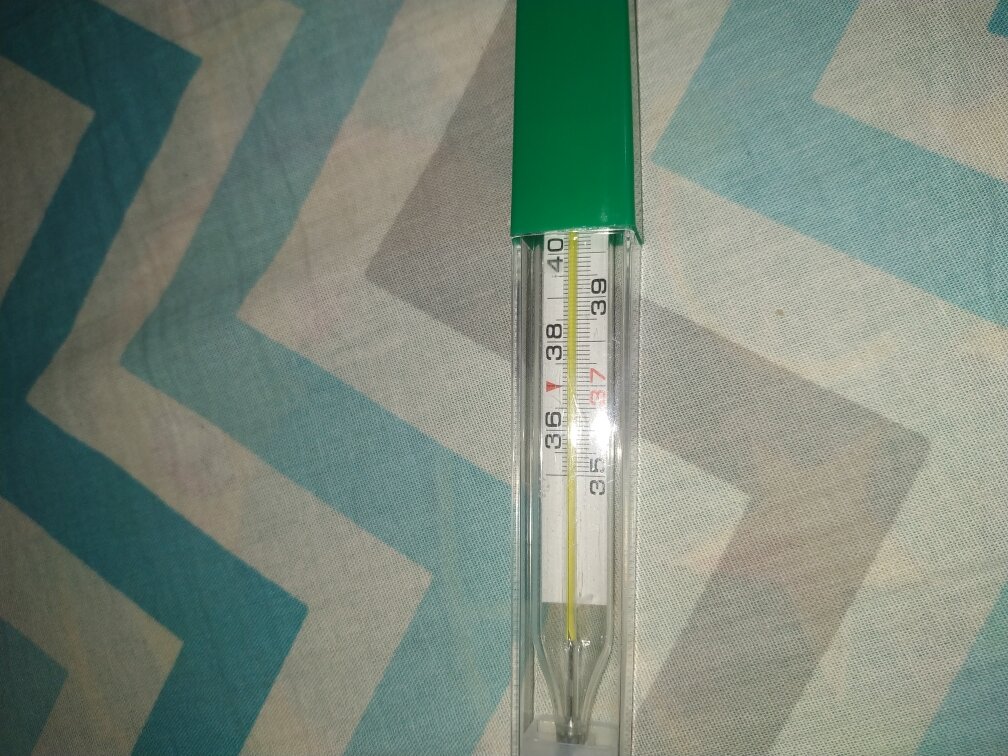 Фотографии пользователя Галина