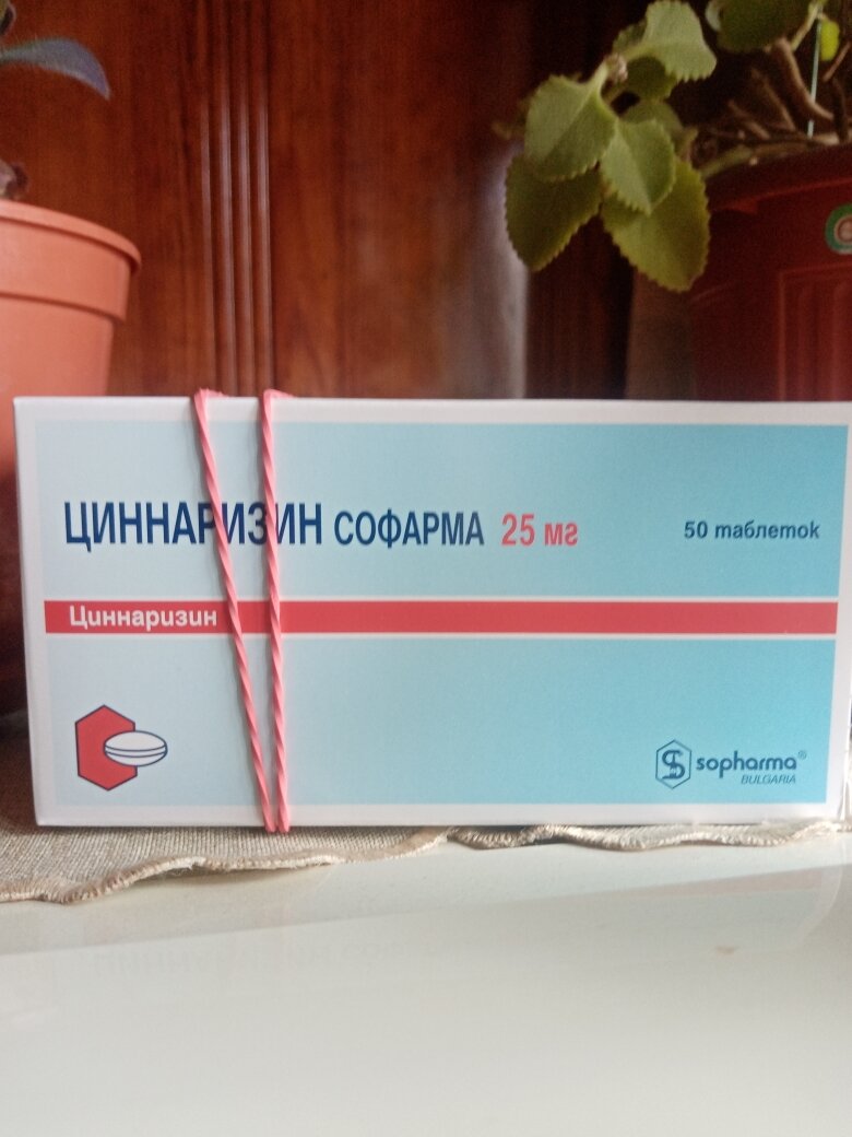 Фотографии пользователя Светлана