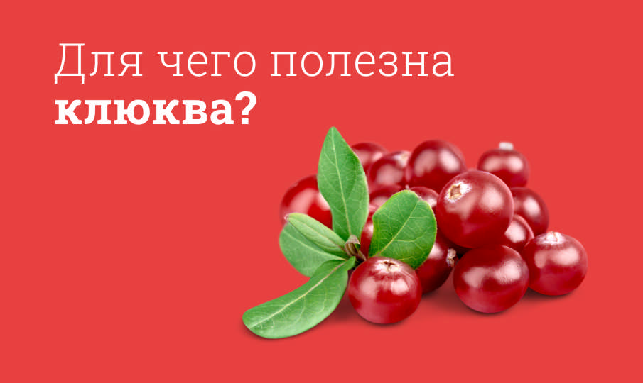 Клюква польза и вред