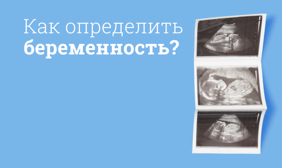 Когда тест покажет беременность?