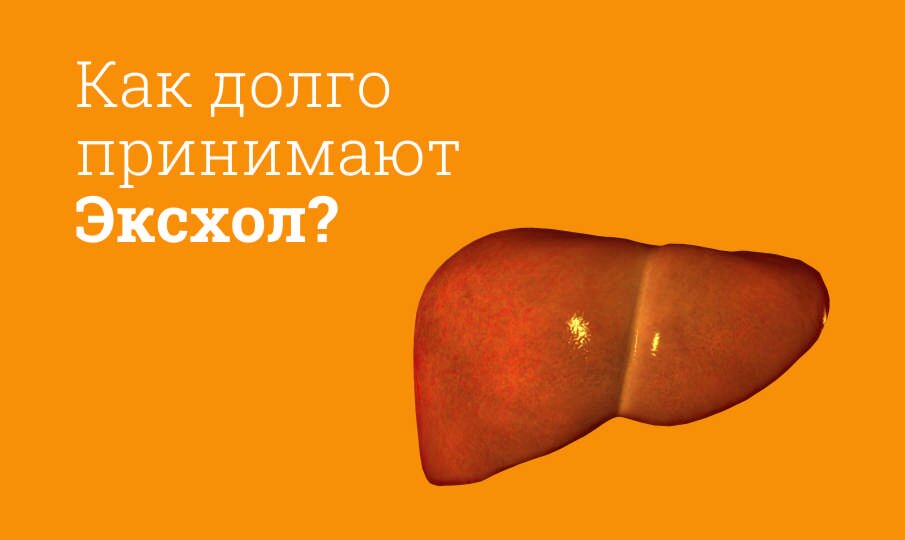 Как долго принимают Эксхол?