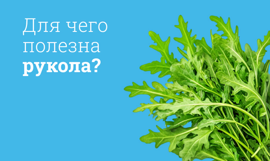 Рукола польза и вред