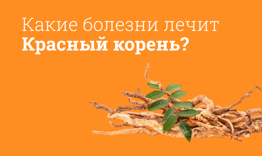 Красный корень инструкция по применению