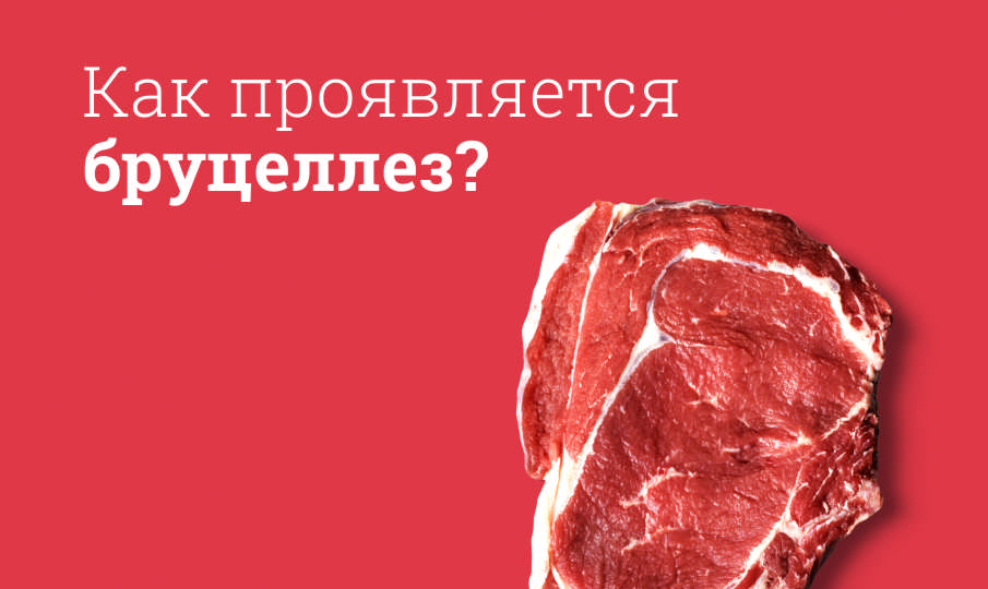 Лечение бруцеллеза
