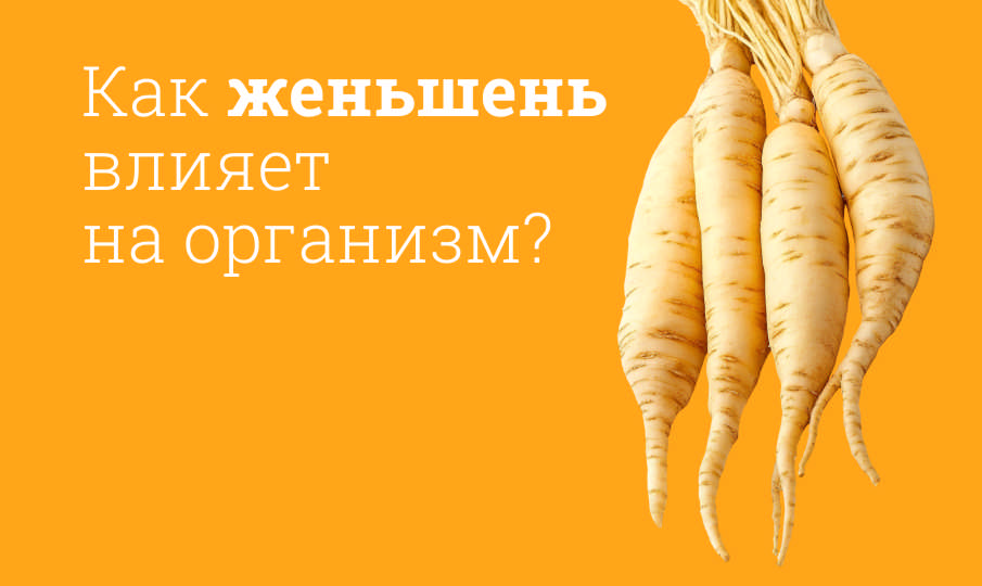 Женьшень польза и вред