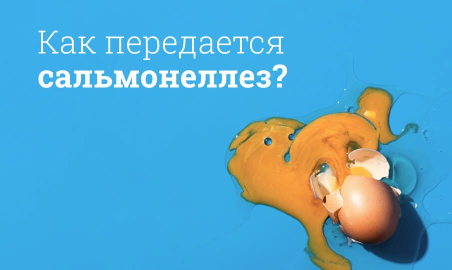 Сальмонеллез: симптомы и лечение