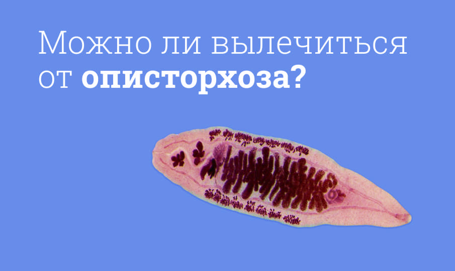 Лечение описторхоза