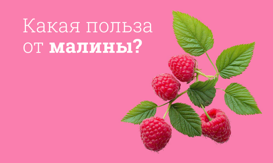 Малина польза и вред