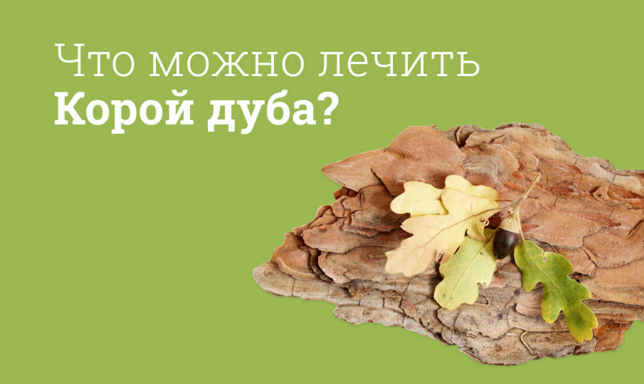 Кора дуба инструкция по применению