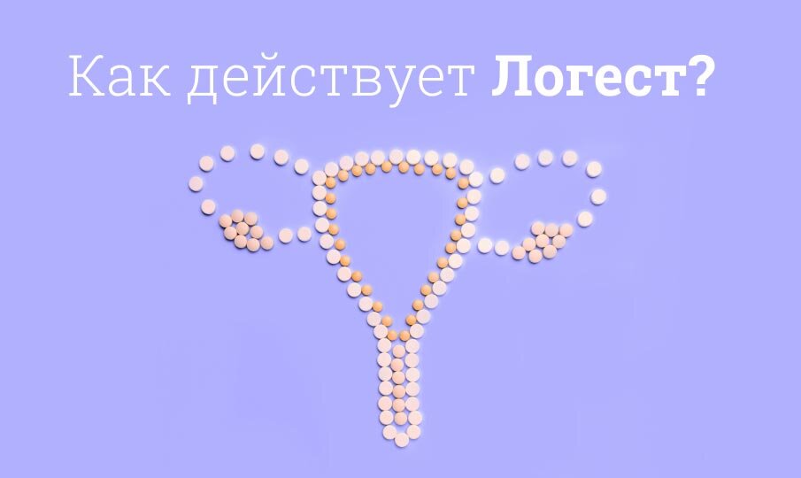 Как действует Логест?