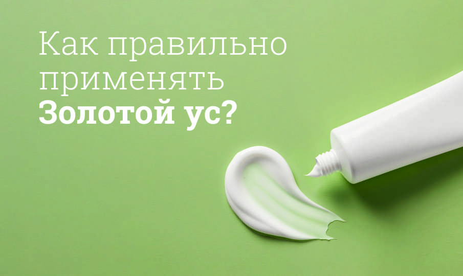 Золотой ус инструкция по применению