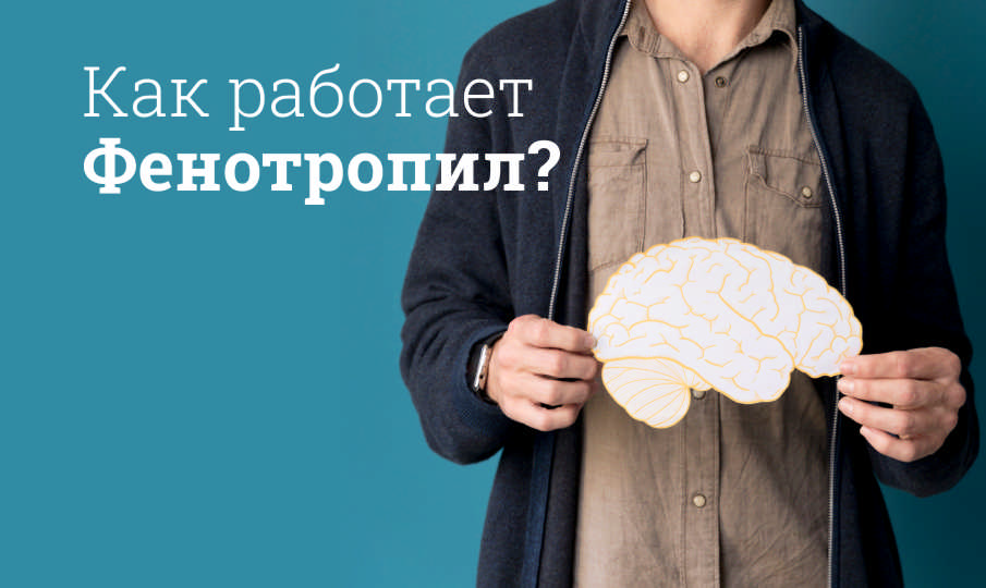 Фенотропил инструкция по применению