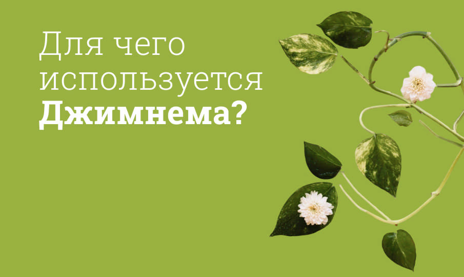 Джимнема инструкция по применению