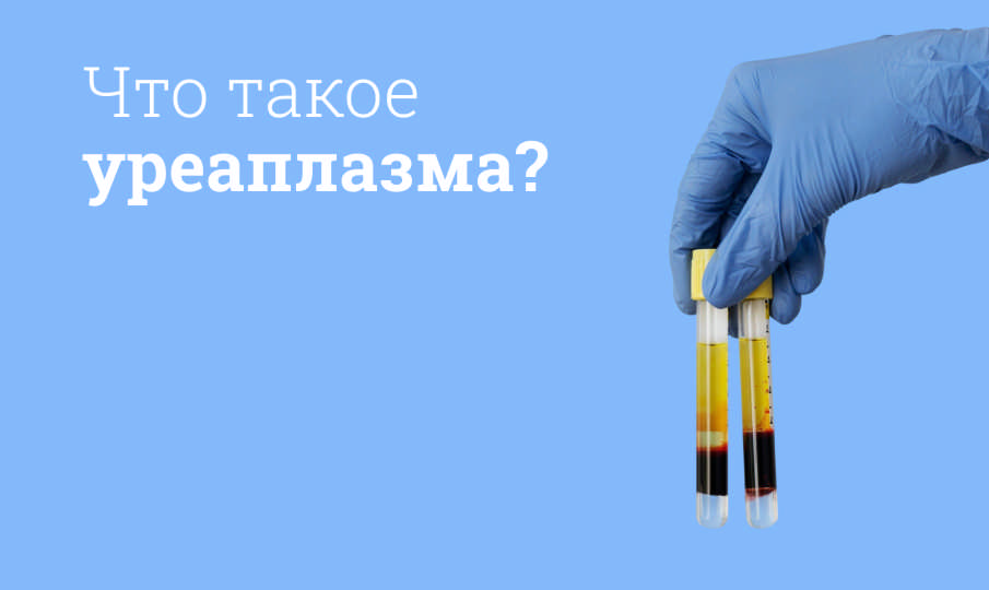 Симптомы и лечение уреаплазмы