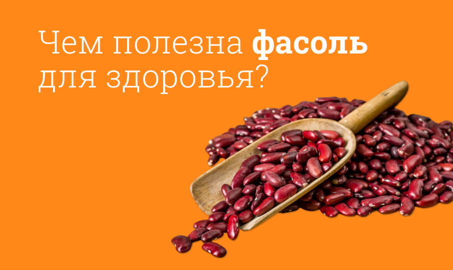 Фасоль польза и вред