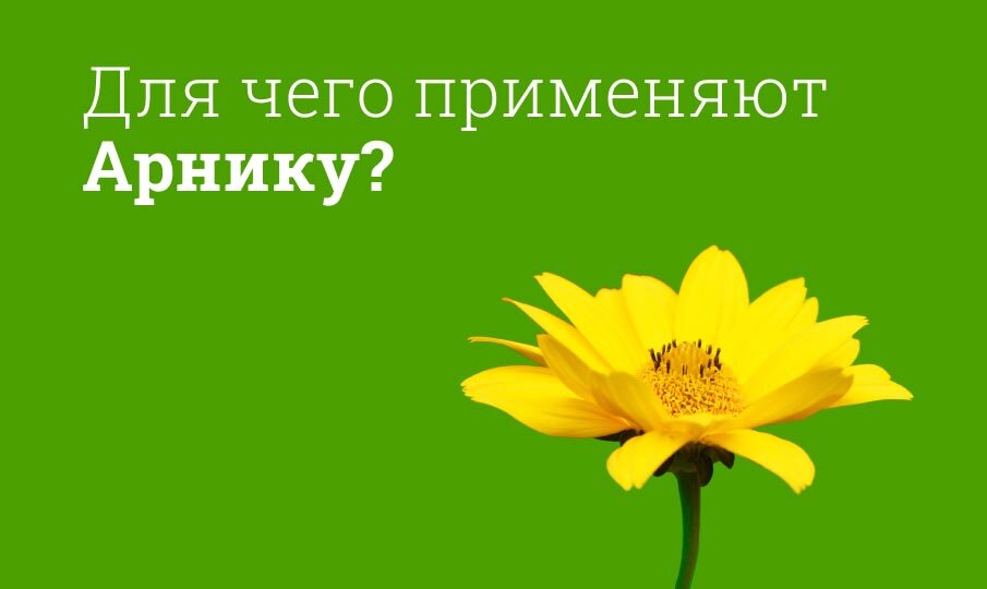 Арника: инструкция по применению
