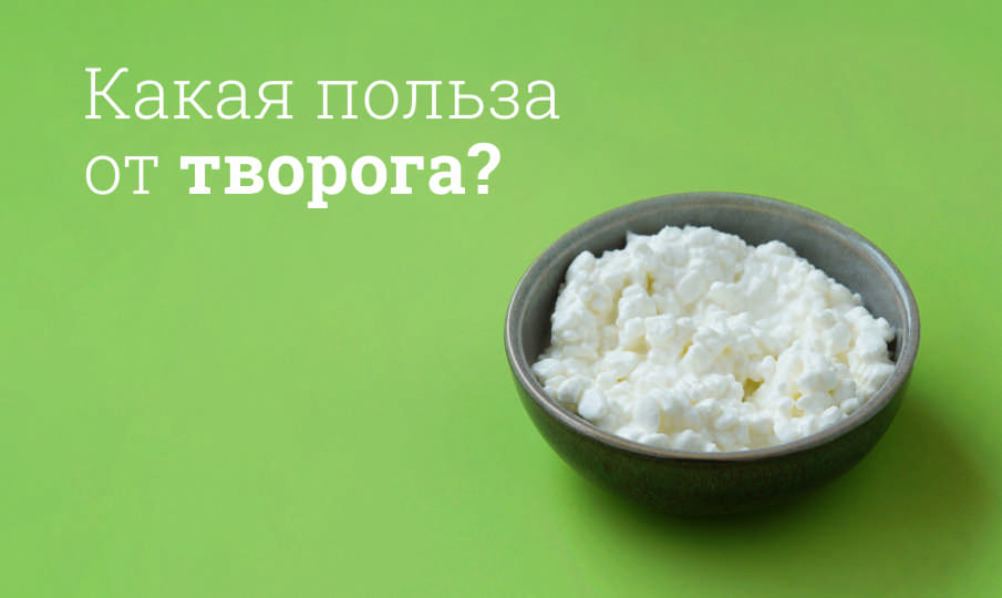 Творог польза и вред