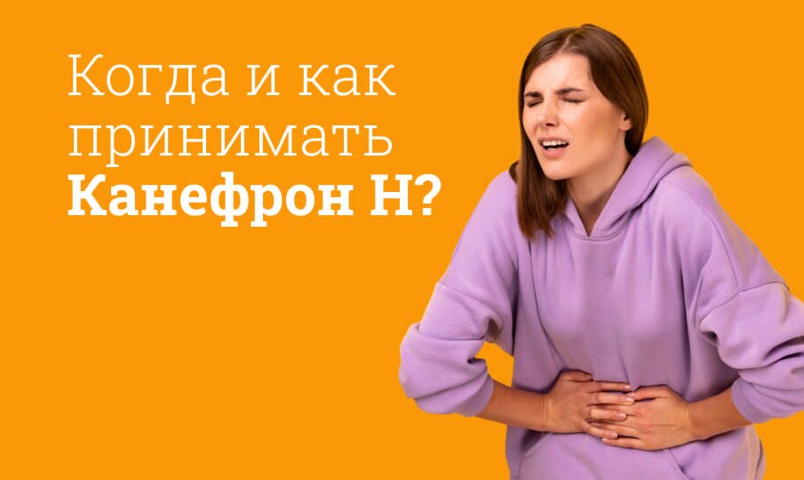 Канефрон инструкция по применению