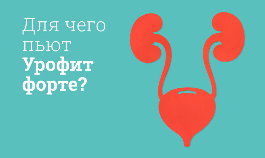 Урофит форте инструкция по применению