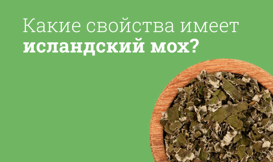 Мох исландский польза и вред