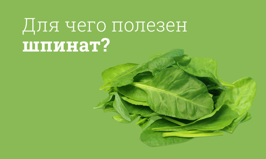 Шпинат польза и вред