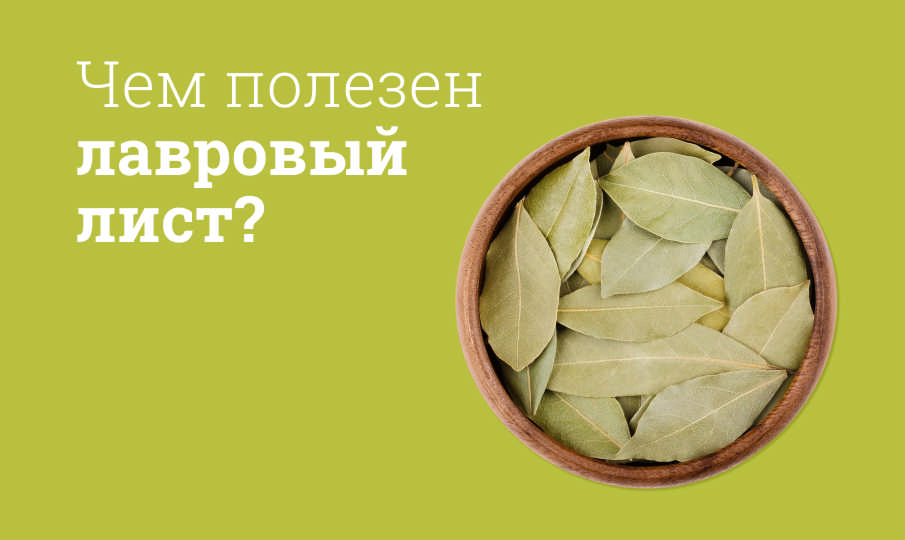 Лавровый лист польза и вред