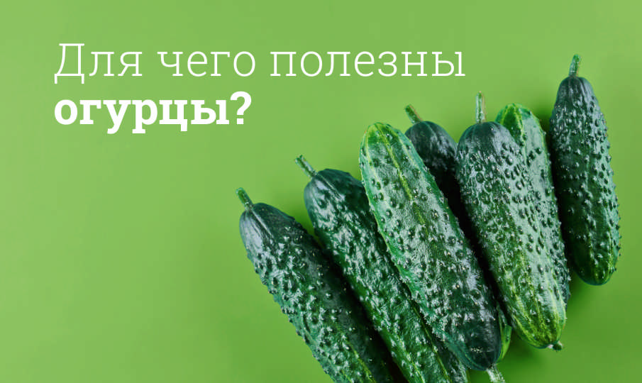 Огурцы польза и вред