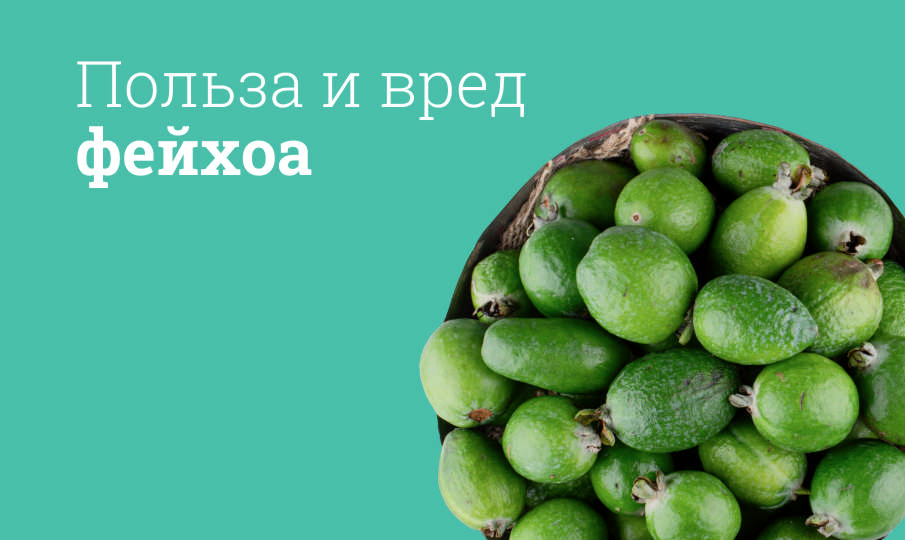 Фейхоа польза и вред