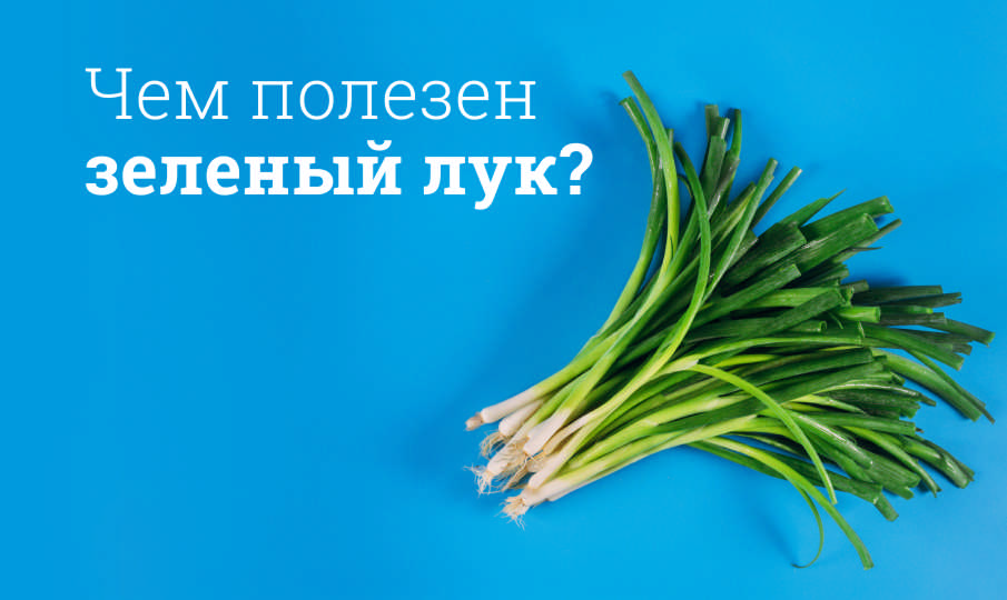 Зеленый лук польза и вред