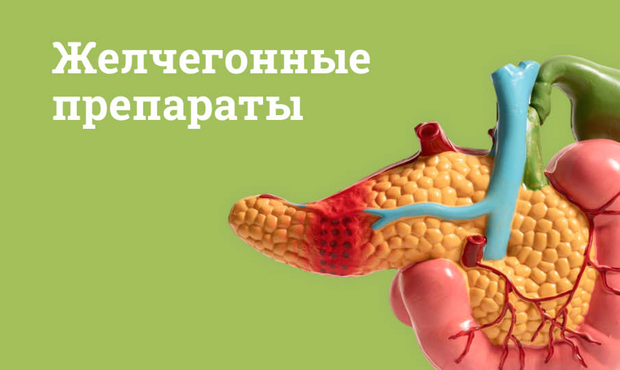 Желчегонные препараты