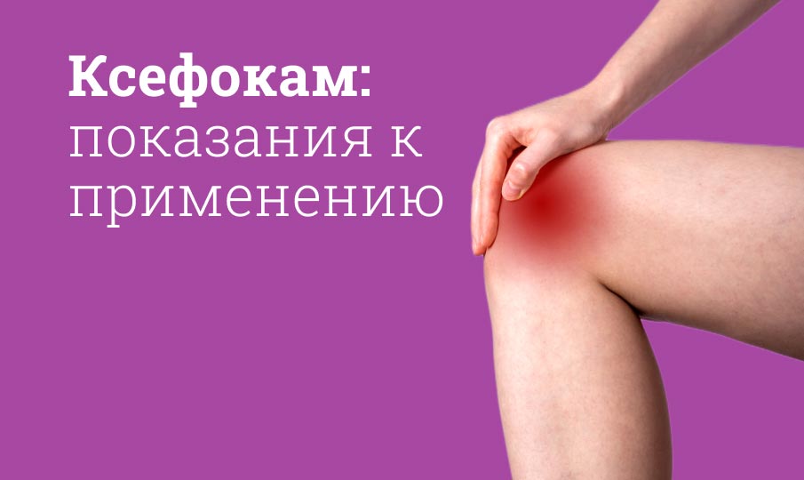 Ксефокам инструкция по применению