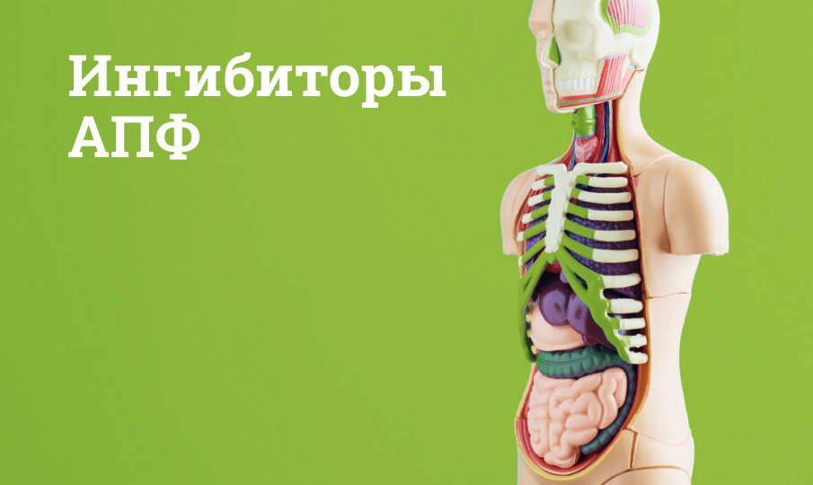 Ингибиторы АПФ