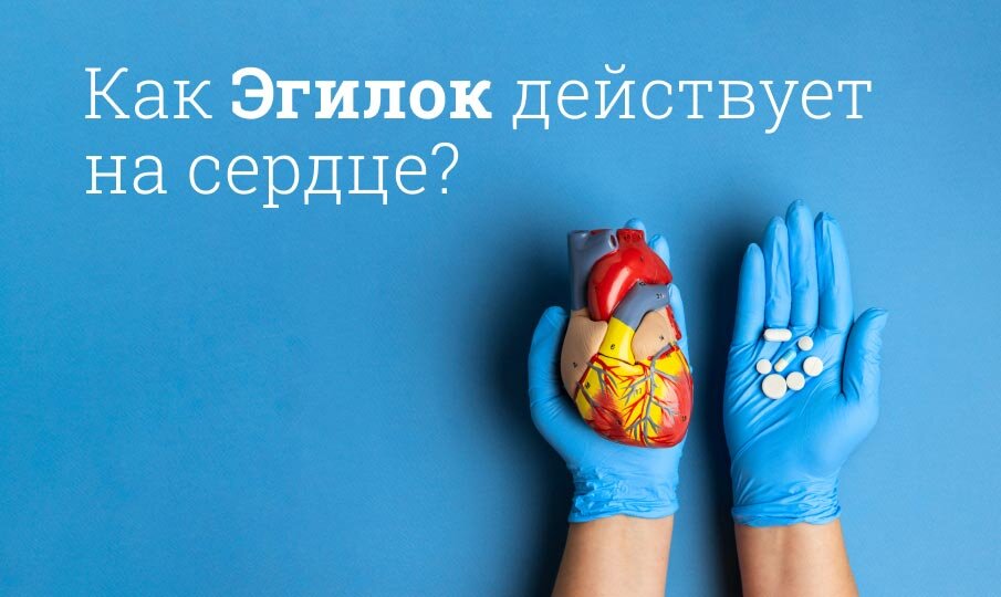 Как Эгилок действует на сердце?