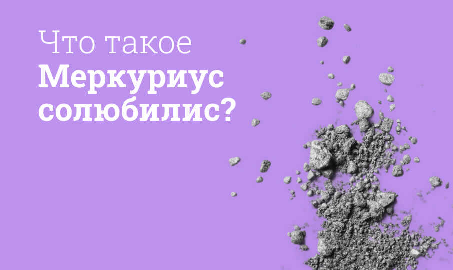 Меркуриус солюбилис инструкция по применению
