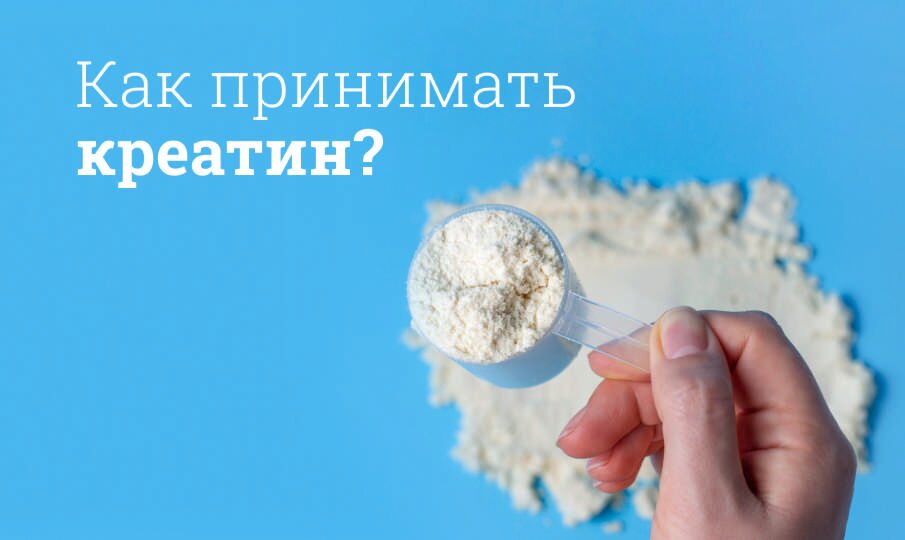 Как принимать креатин?