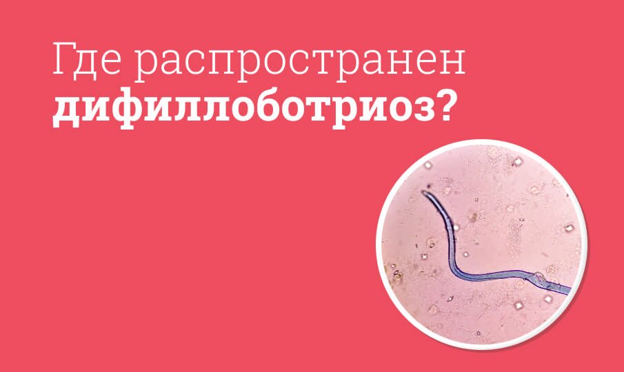 Дифиллоботриоз: симптомы и лечение