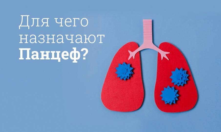 Панцеф инструкция по применению