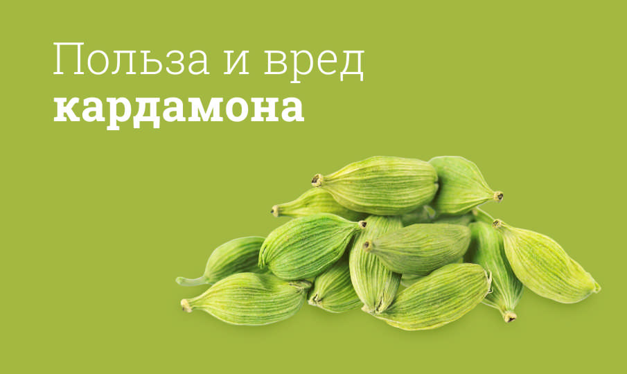 Кардамон польза и вред