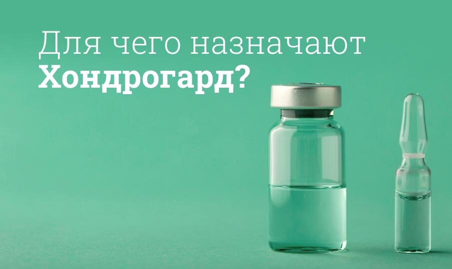 Для чего назначают Хондрогард?