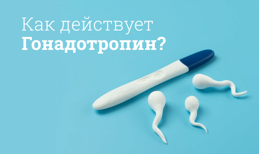 Гонадотропин инструкция по применению