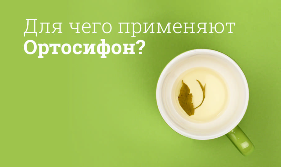 Ортосифон инструкция по применению