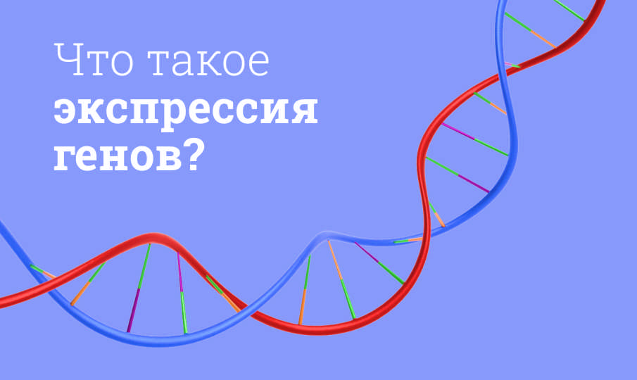 Что такое экспрессия генов?