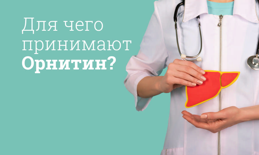 Орнитин инструкция по применению